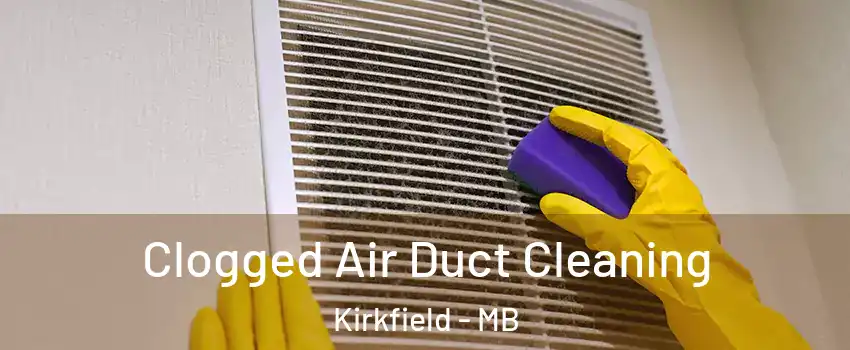  Clogged Air Duct Cleaning Kirkfield - MB