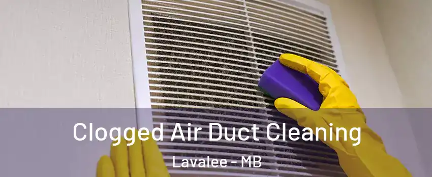  Clogged Air Duct Cleaning Lavalee - MB