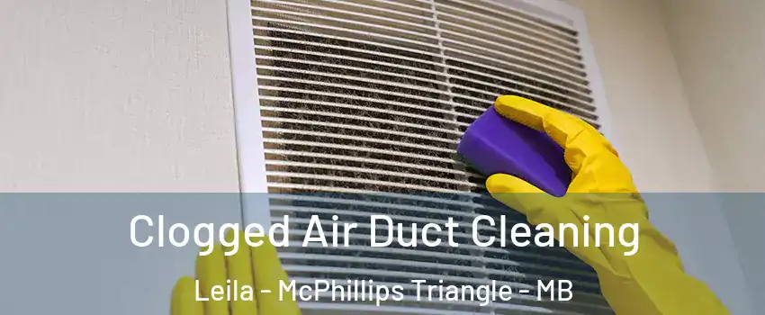  Clogged Air Duct Cleaning Leila - McPhillips Triangle - MB