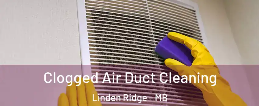  Clogged Air Duct Cleaning Linden Ridge - MB