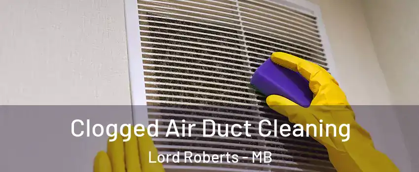  Clogged Air Duct Cleaning Lord Roberts - MB