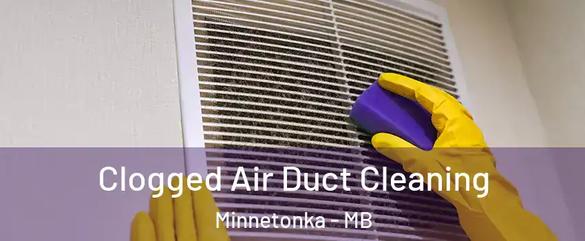  Clogged Air Duct Cleaning Minnetonka - MB