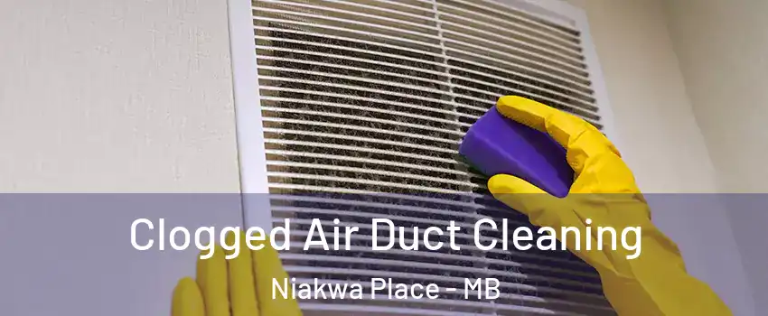  Clogged Air Duct Cleaning Niakwa Place - MB