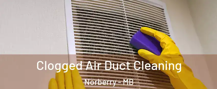  Clogged Air Duct Cleaning Norberry - MB