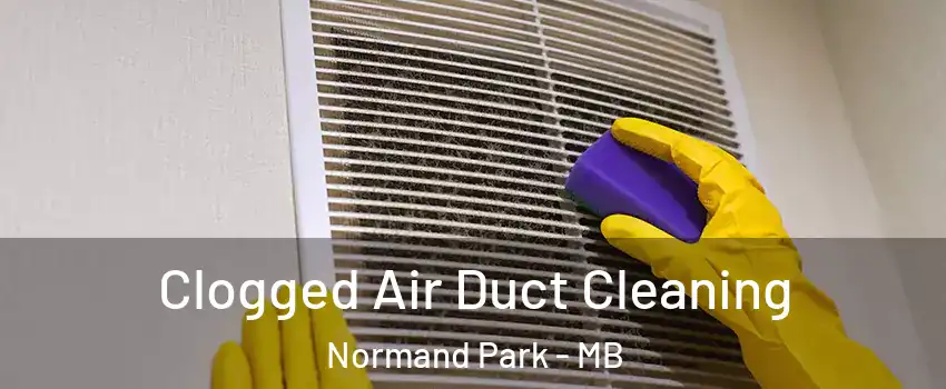  Clogged Air Duct Cleaning Normand Park - MB