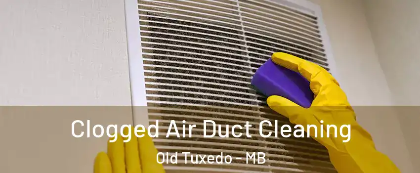  Clogged Air Duct Cleaning Old Tuxedo - MB
