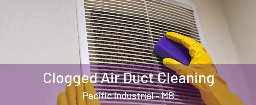  Clogged Air Duct Cleaning Pacific Industrial - MB