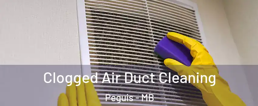  Clogged Air Duct Cleaning Peguis - MB