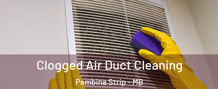  Clogged Air Duct Cleaning Pembina Strip - MB