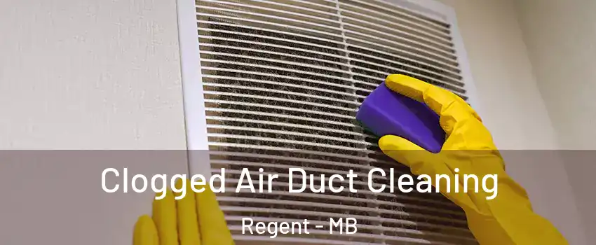  Clogged Air Duct Cleaning Regent - MB
