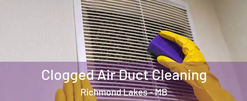  Clogged Air Duct Cleaning Richmond Lakes - MB