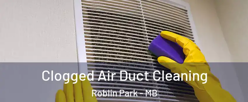  Clogged Air Duct Cleaning Roblin Park - MB