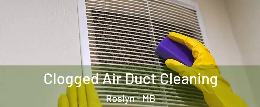  Clogged Air Duct Cleaning Roslyn - MB