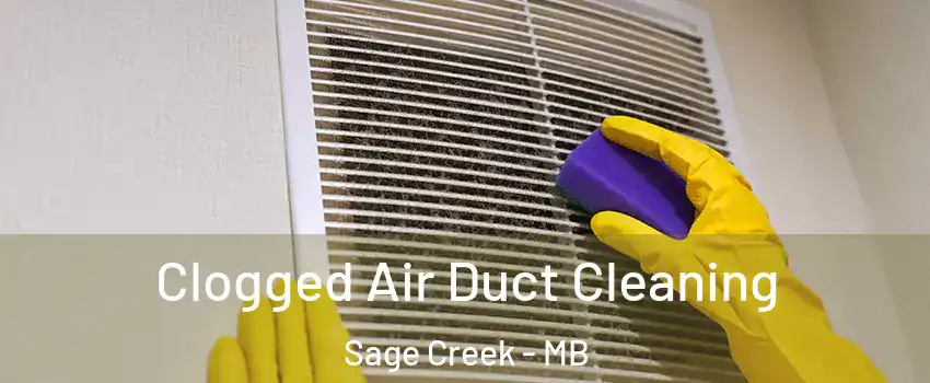  Clogged Air Duct Cleaning Sage Creek - MB