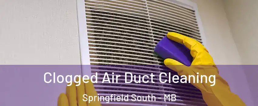  Clogged Air Duct Cleaning Springfield South - MB