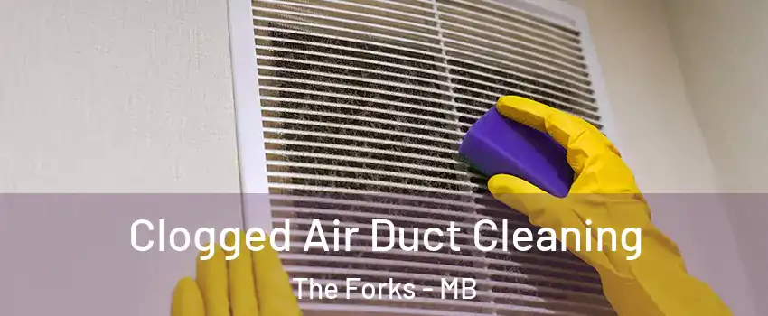  Clogged Air Duct Cleaning The Forks - MB