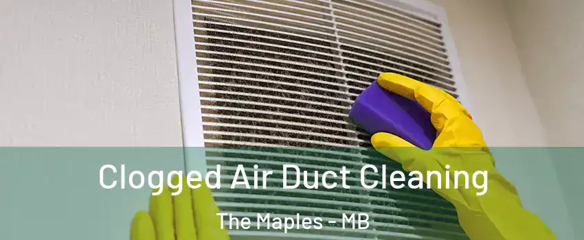  Clogged Air Duct Cleaning The Maples - MB