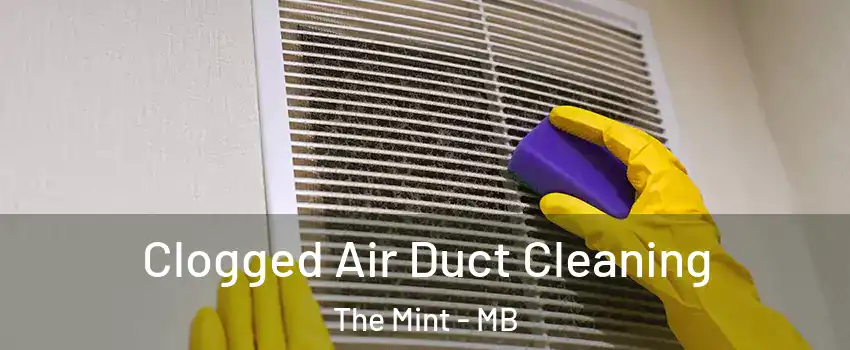  Clogged Air Duct Cleaning The Mint - MB