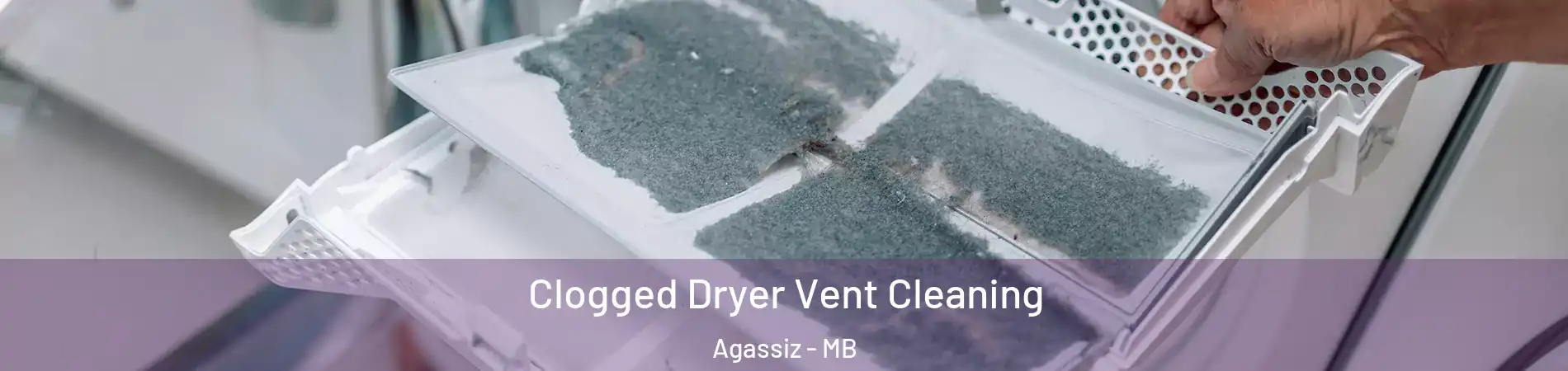  Clogged Dryer Vent Cleaning Agassiz - MB