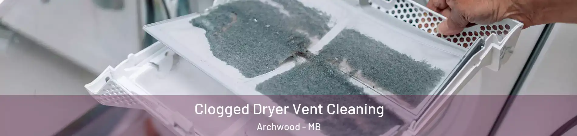  Clogged Dryer Vent Cleaning Archwood - MB