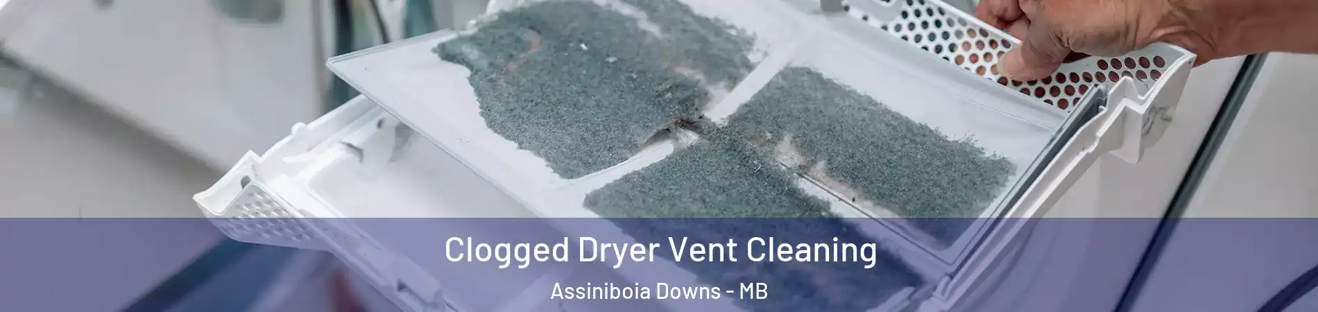  Clogged Dryer Vent Cleaning Assiniboia Downs - MB