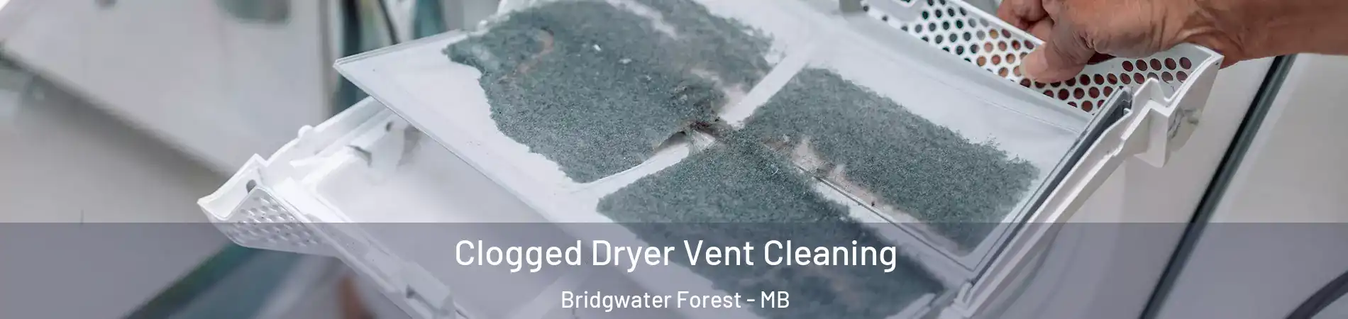  Clogged Dryer Vent Cleaning Bridgwater Forest - MB