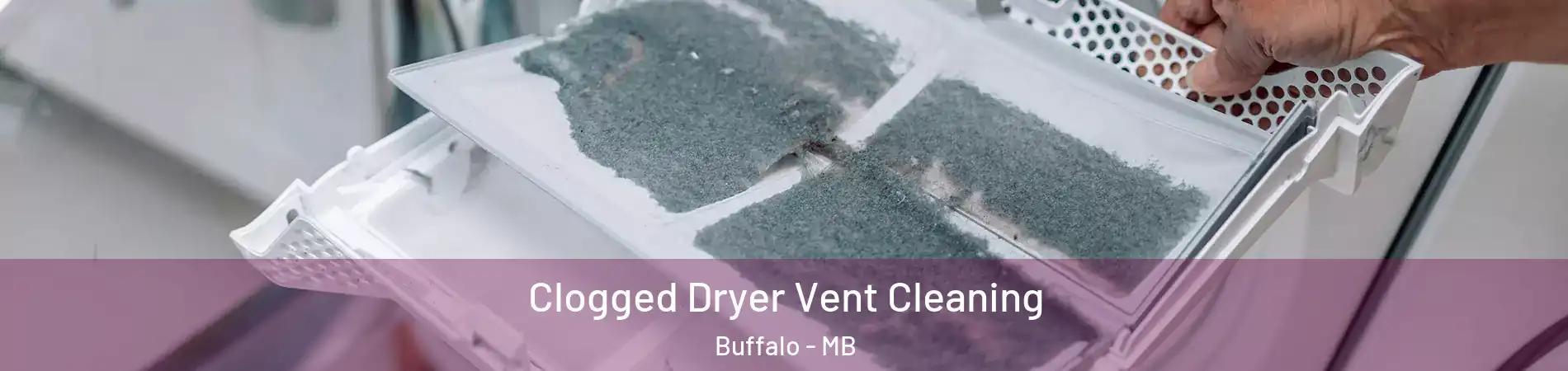  Clogged Dryer Vent Cleaning Buffalo - MB