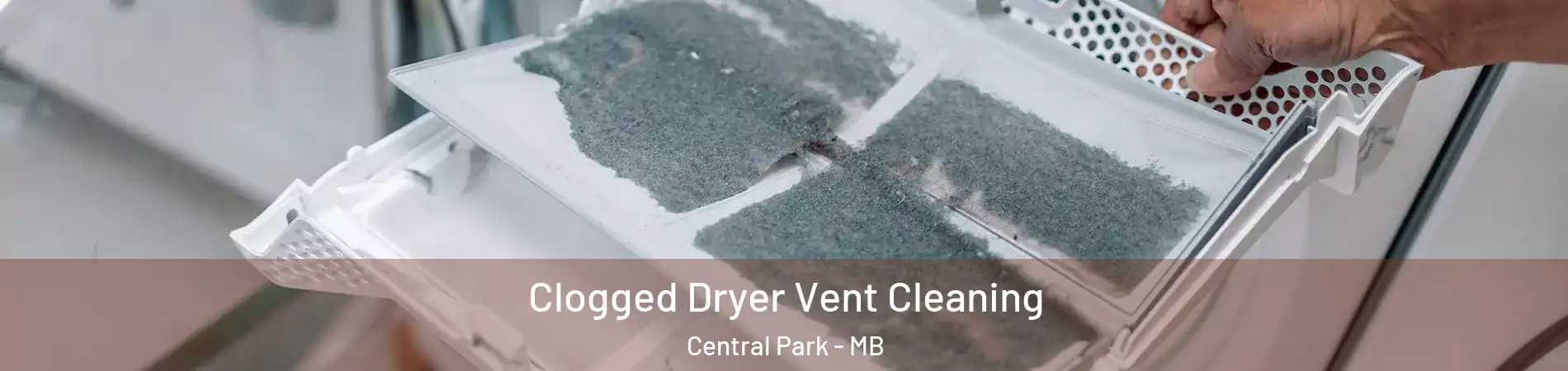  Clogged Dryer Vent Cleaning Central Park - MB