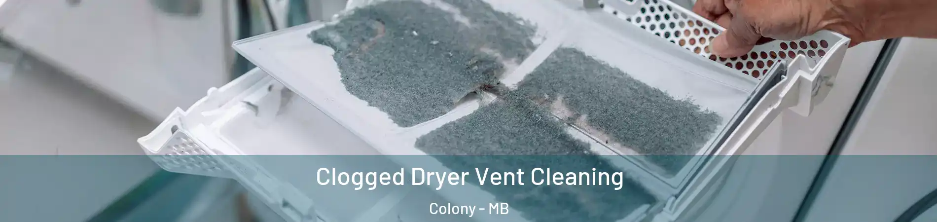  Clogged Dryer Vent Cleaning Colony - MB