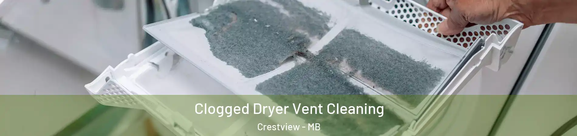  Clogged Dryer Vent Cleaning Crestview - MB