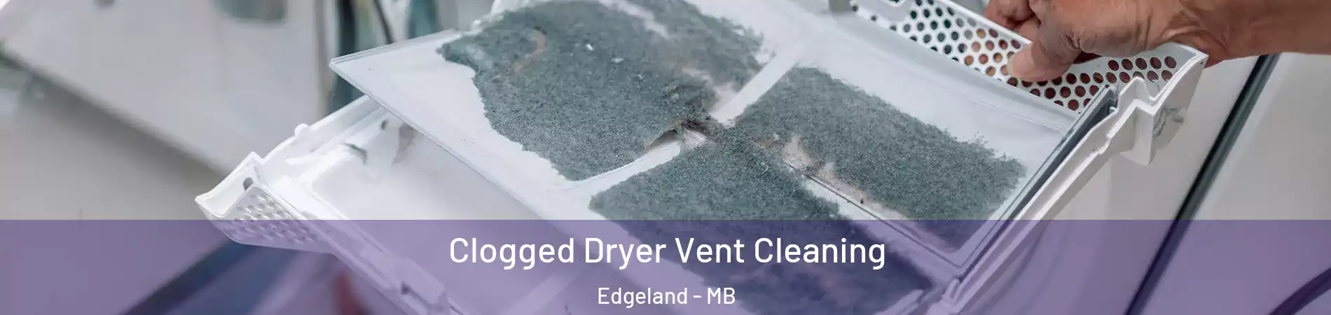  Clogged Dryer Vent Cleaning Edgeland - MB