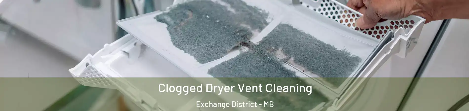 Clogged Dryer Vent Cleaning Exchange District - MB