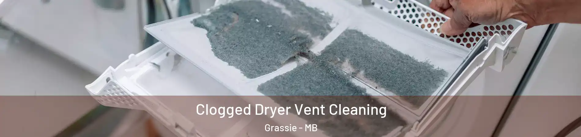  Clogged Dryer Vent Cleaning Grassie - MB