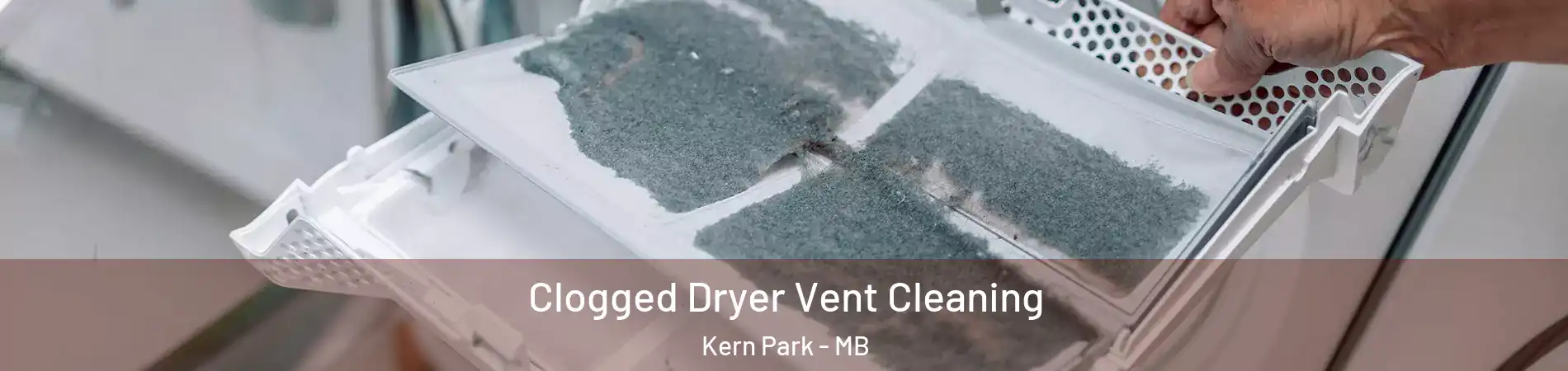  Clogged Dryer Vent Cleaning Kern Park - MB