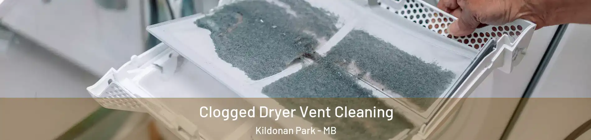  Clogged Dryer Vent Cleaning Kildonan Park - MB