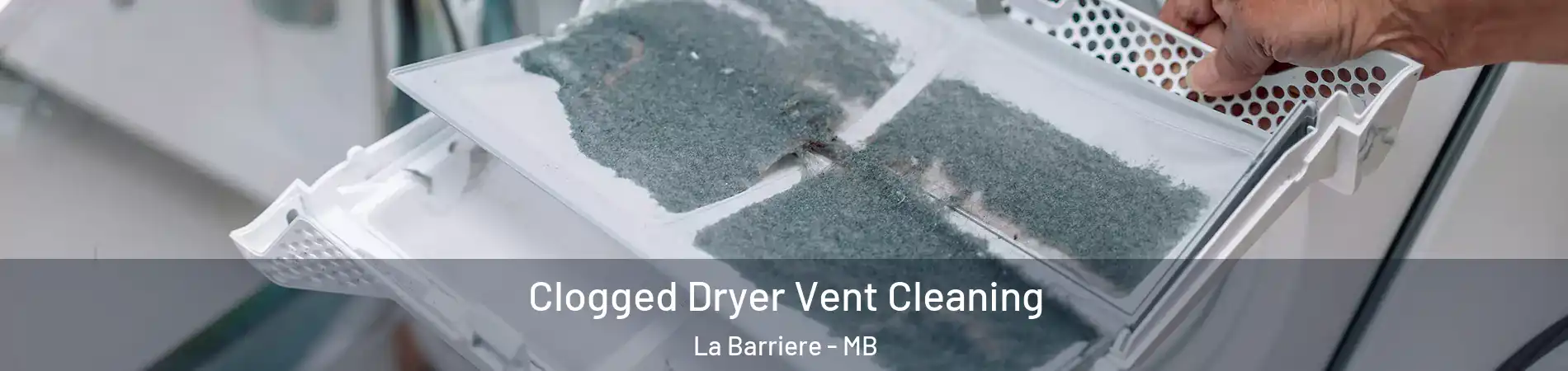  Clogged Dryer Vent Cleaning La Barriere - MB