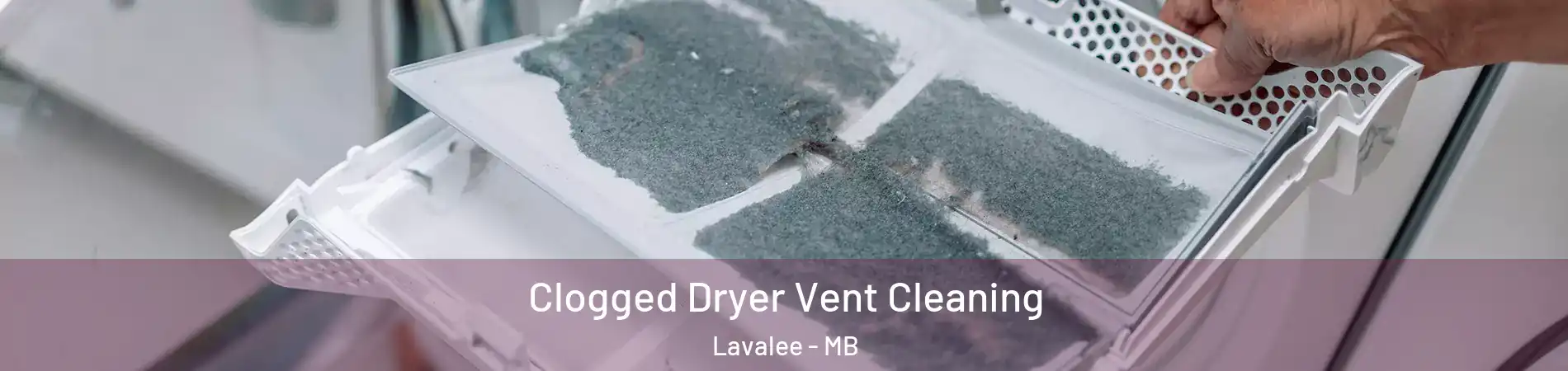  Clogged Dryer Vent Cleaning Lavalee - MB
