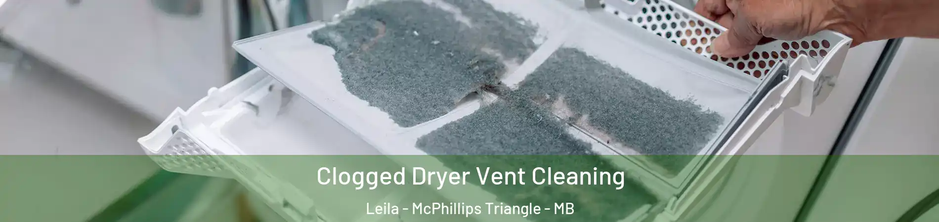 Clogged Dryer Vent Cleaning Leila - McPhillips Triangle - MB