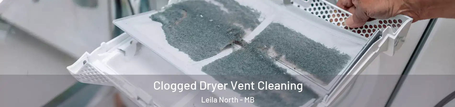  Clogged Dryer Vent Cleaning Leila North - MB