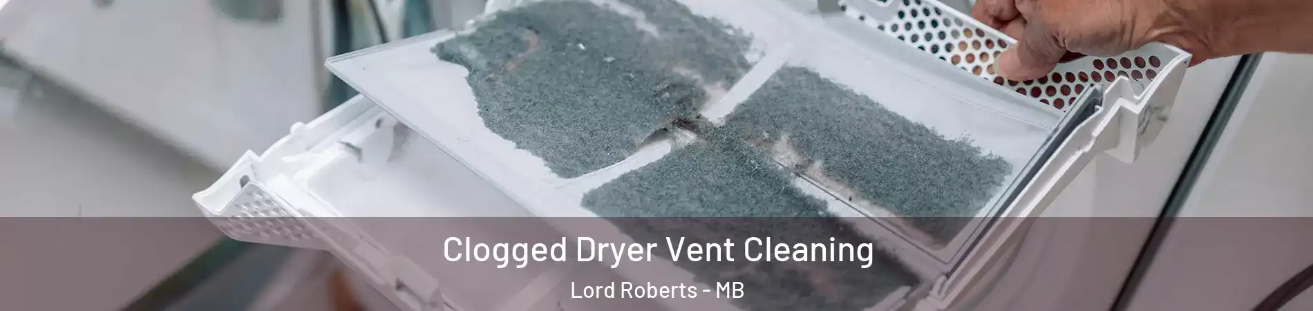  Clogged Dryer Vent Cleaning Lord Roberts - MB