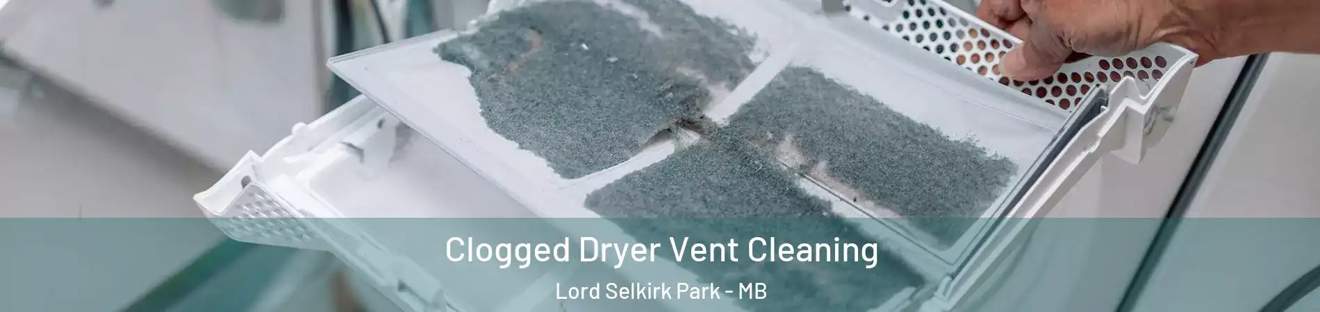  Clogged Dryer Vent Cleaning Lord Selkirk Park - MB