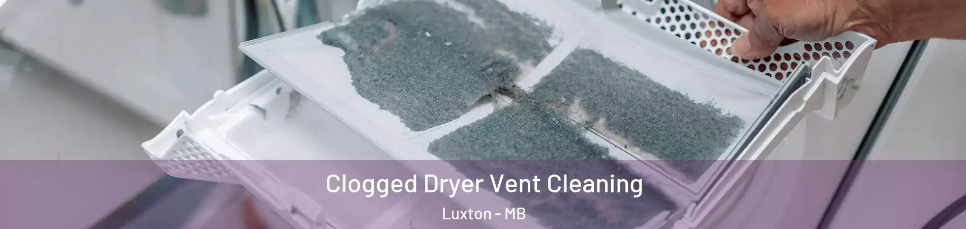  Clogged Dryer Vent Cleaning Luxton - MB