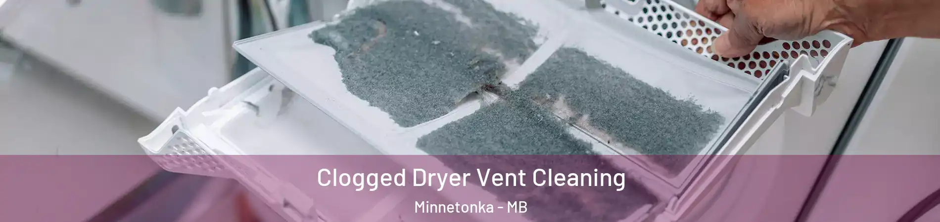 Clogged Dryer Vent Cleaning Minnetonka - MB