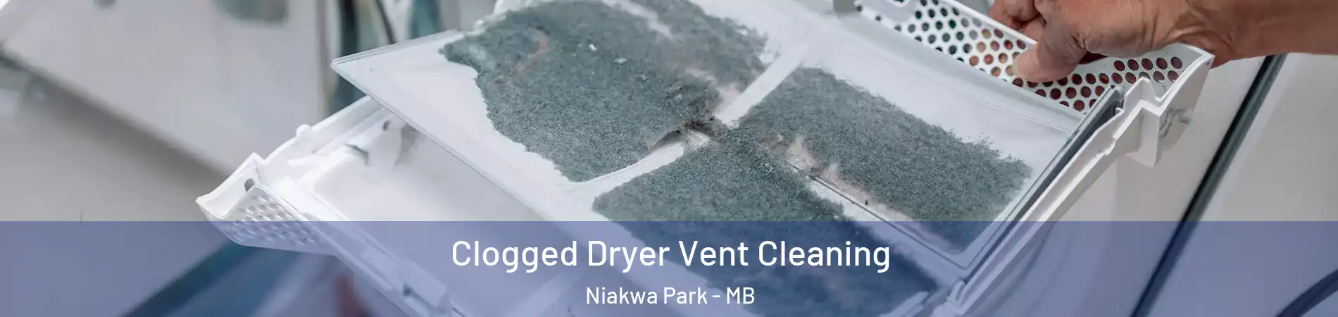  Clogged Dryer Vent Cleaning Niakwa Park - MB