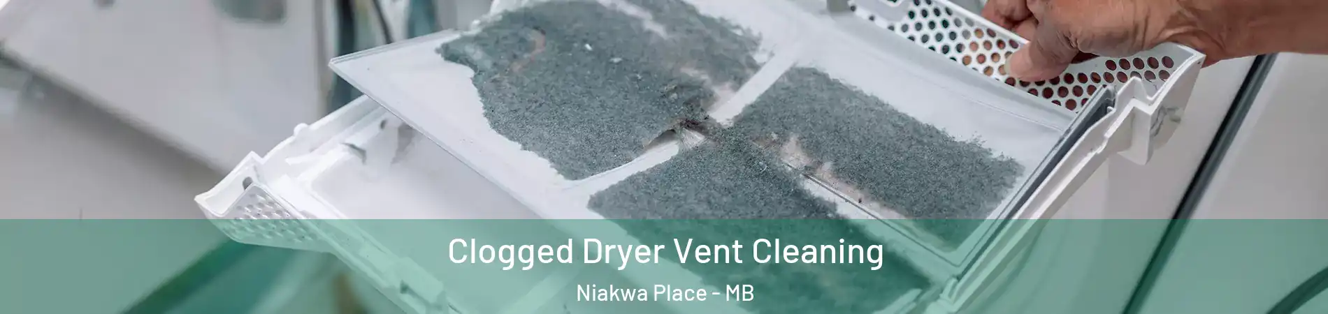  Clogged Dryer Vent Cleaning Niakwa Place - MB