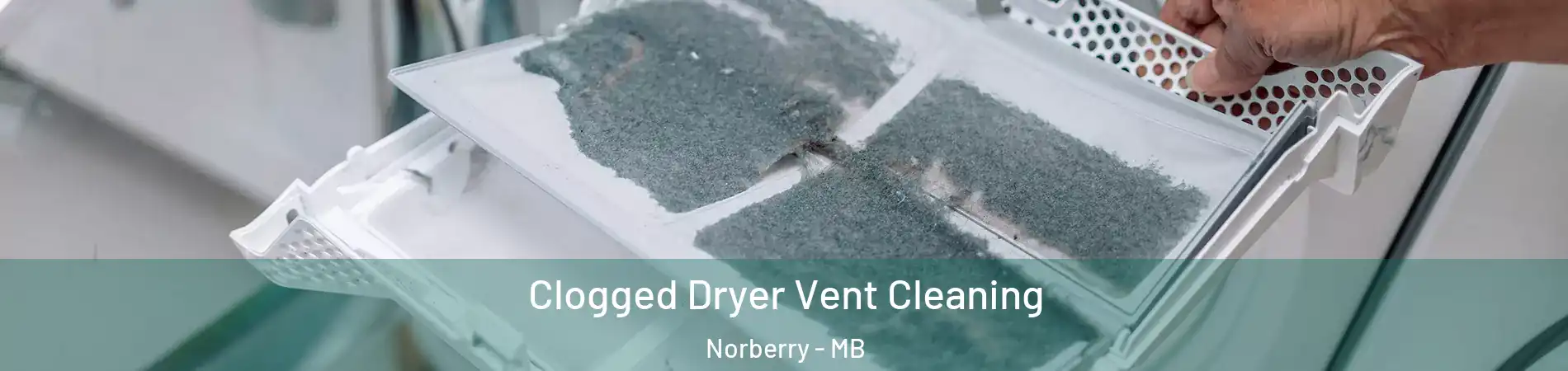  Clogged Dryer Vent Cleaning Norberry - MB