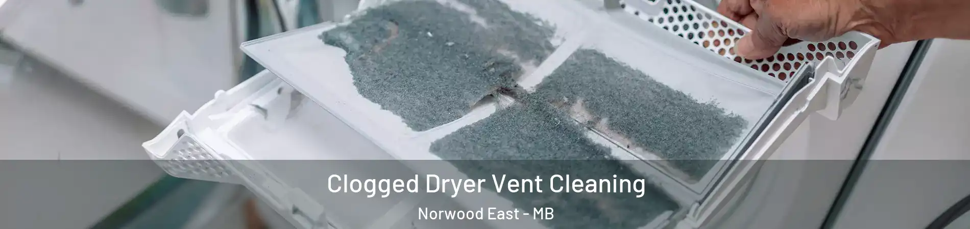  Clogged Dryer Vent Cleaning Norwood East - MB