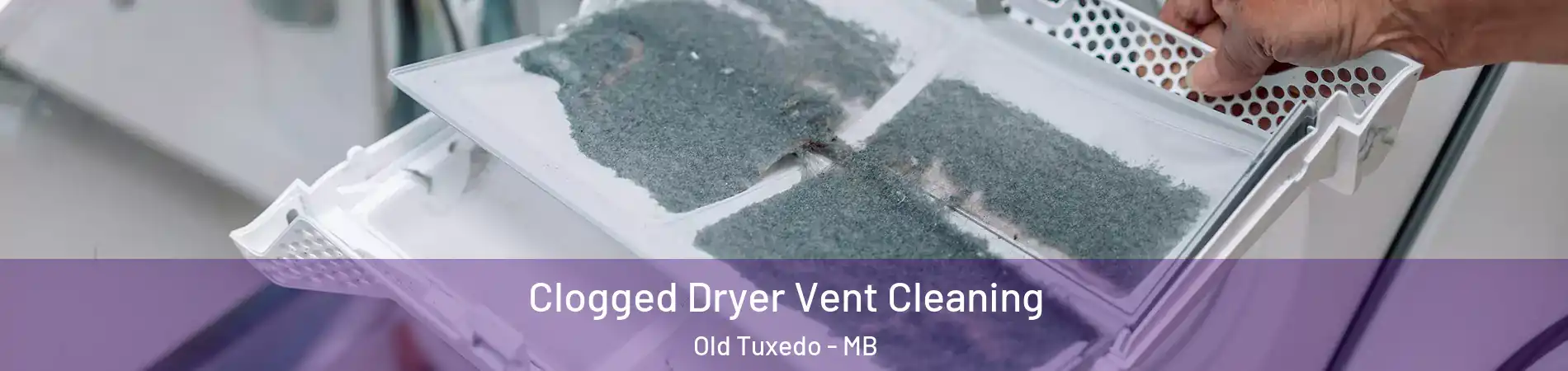  Clogged Dryer Vent Cleaning Old Tuxedo - MB