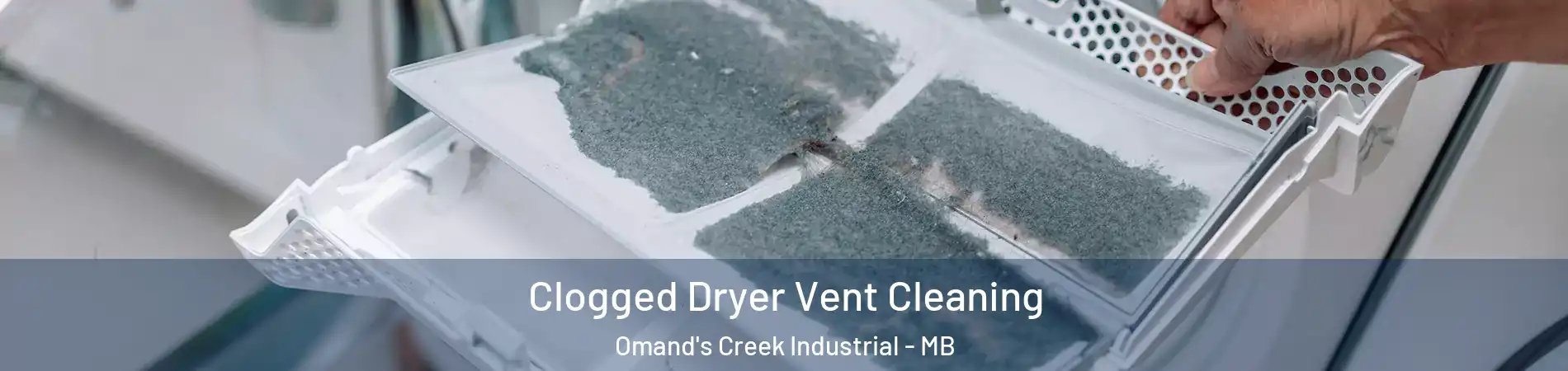  Clogged Dryer Vent Cleaning Omand's Creek Industrial - MB