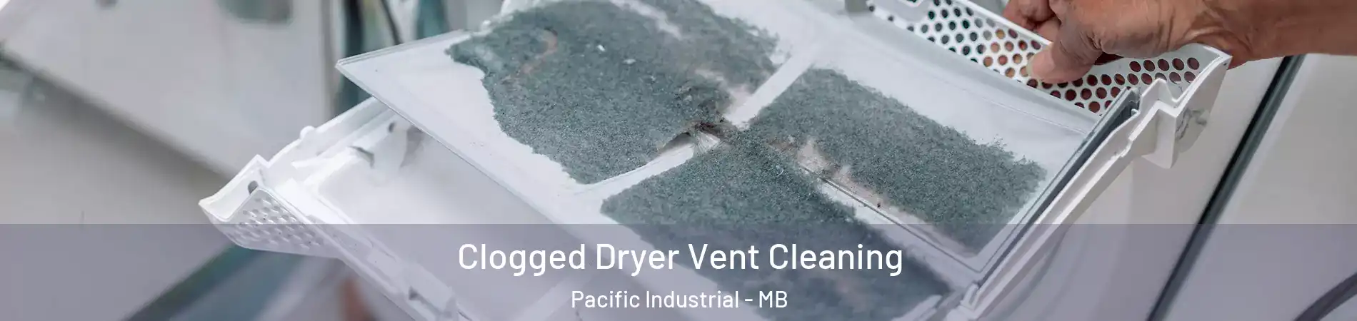  Clogged Dryer Vent Cleaning Pacific Industrial - MB